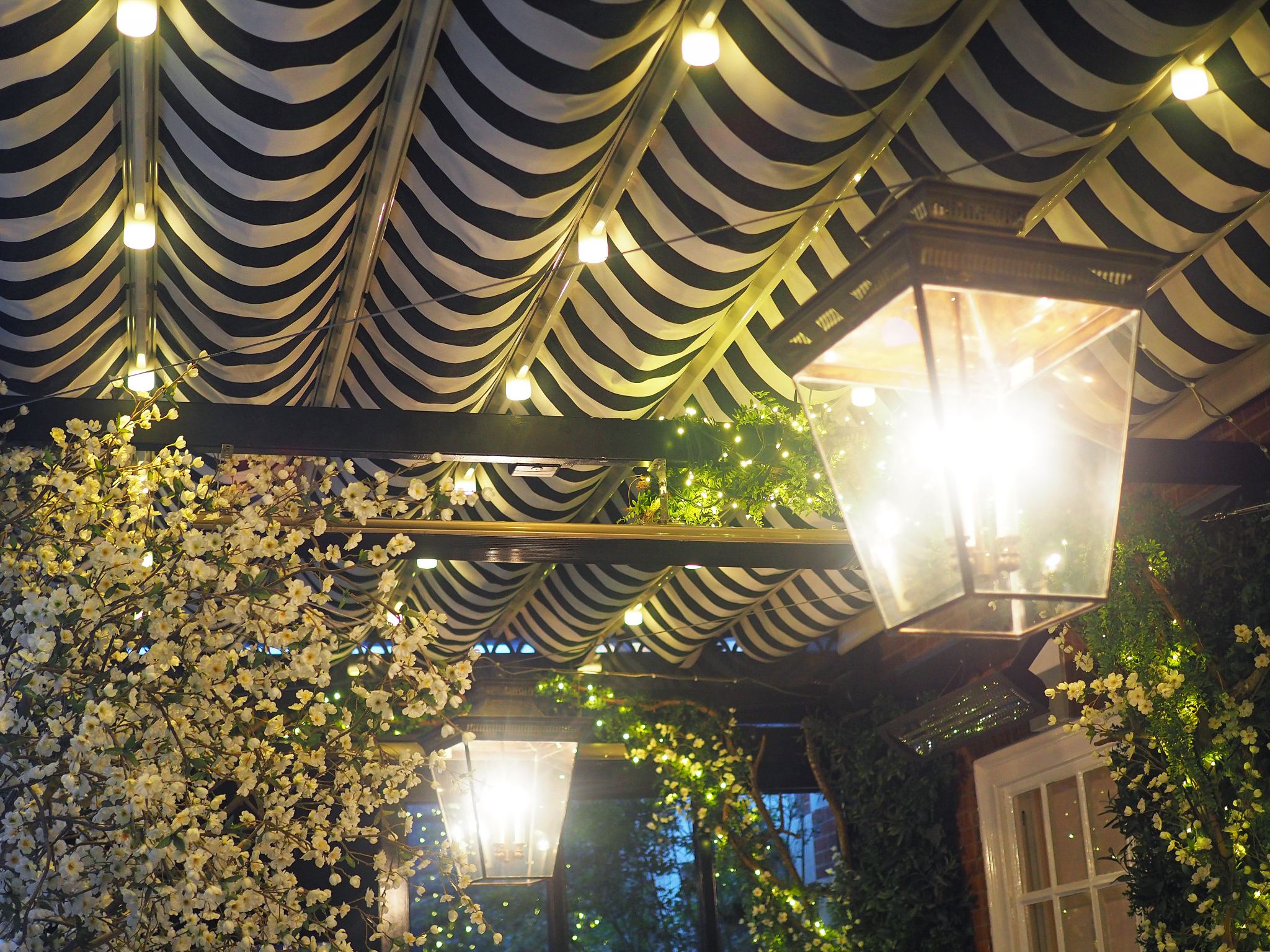 Candice Brown X Dalloway Terrace Afternoon Tea