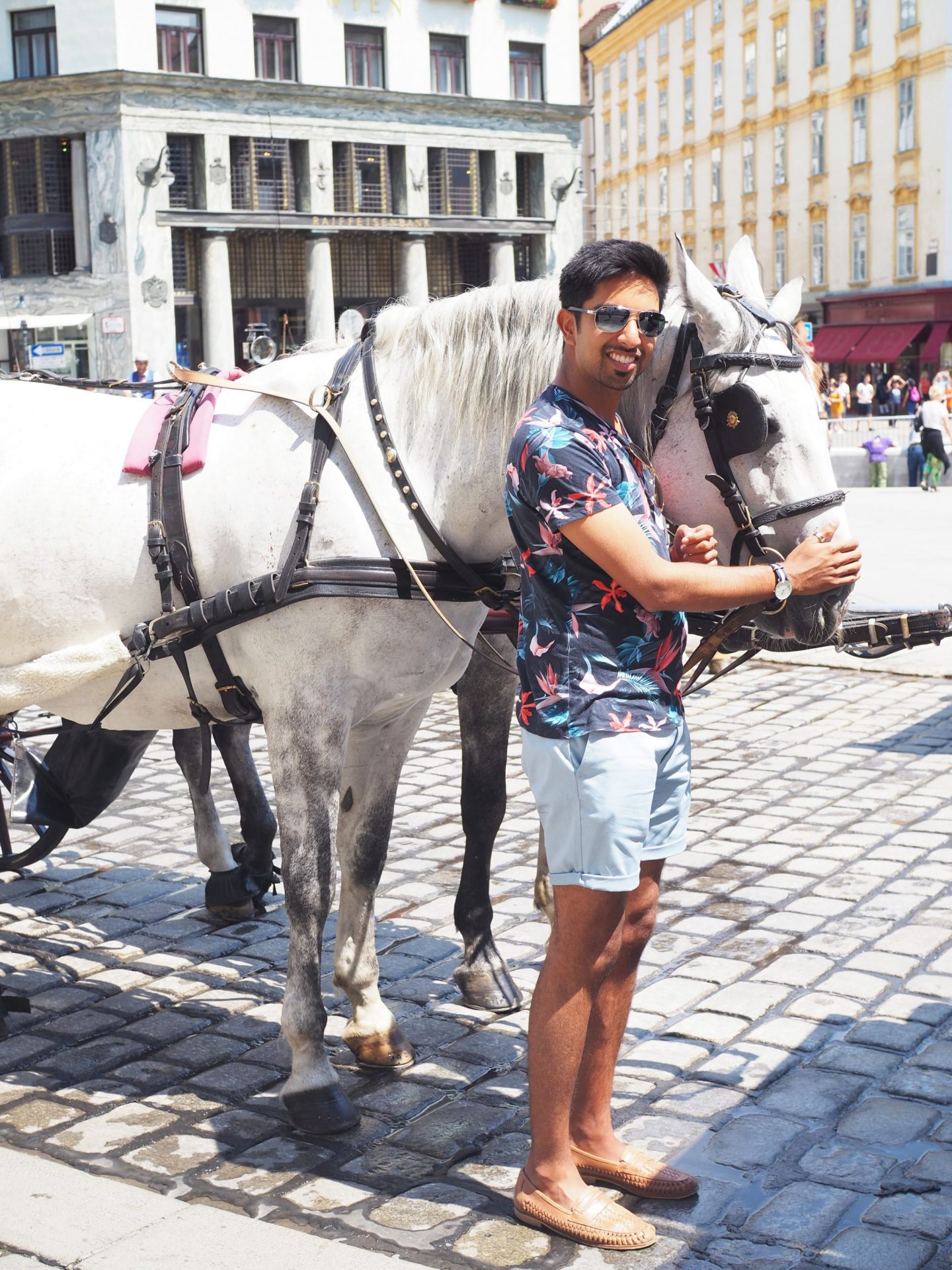 Horse & Carriage Tour, Vienna