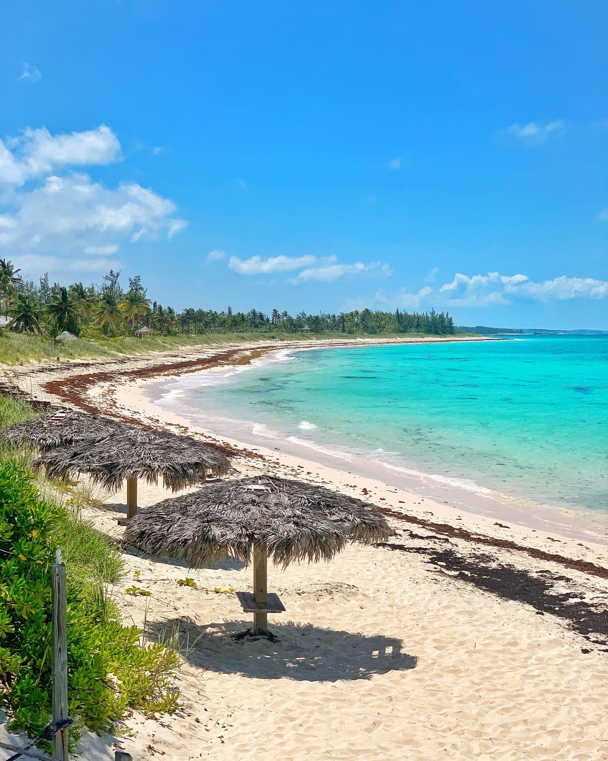 The Island Life Harbour Island & North Eleuthera Fresh And Fearless