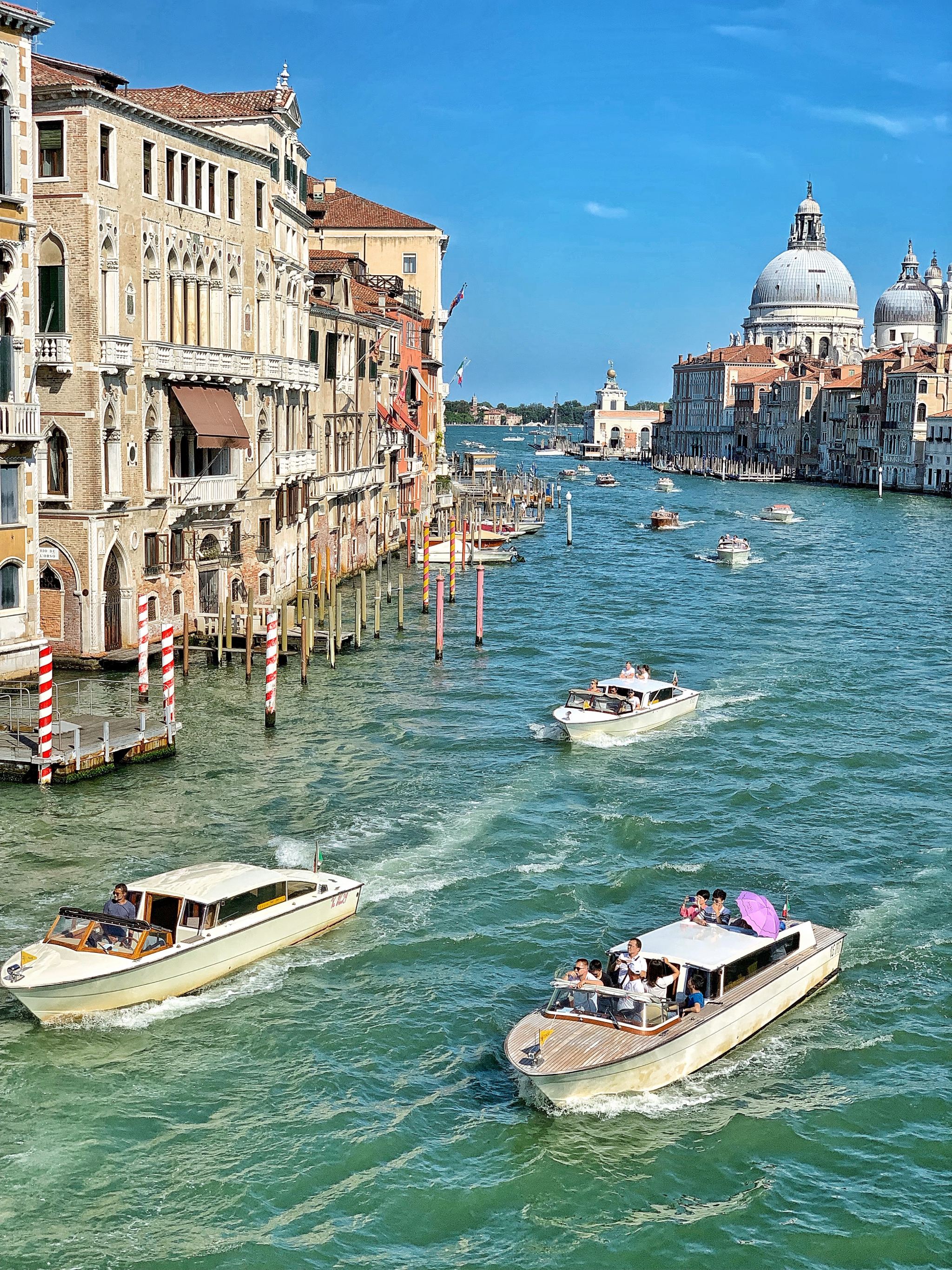 A Comprehensive Guide To Venice Fresh And Fearless