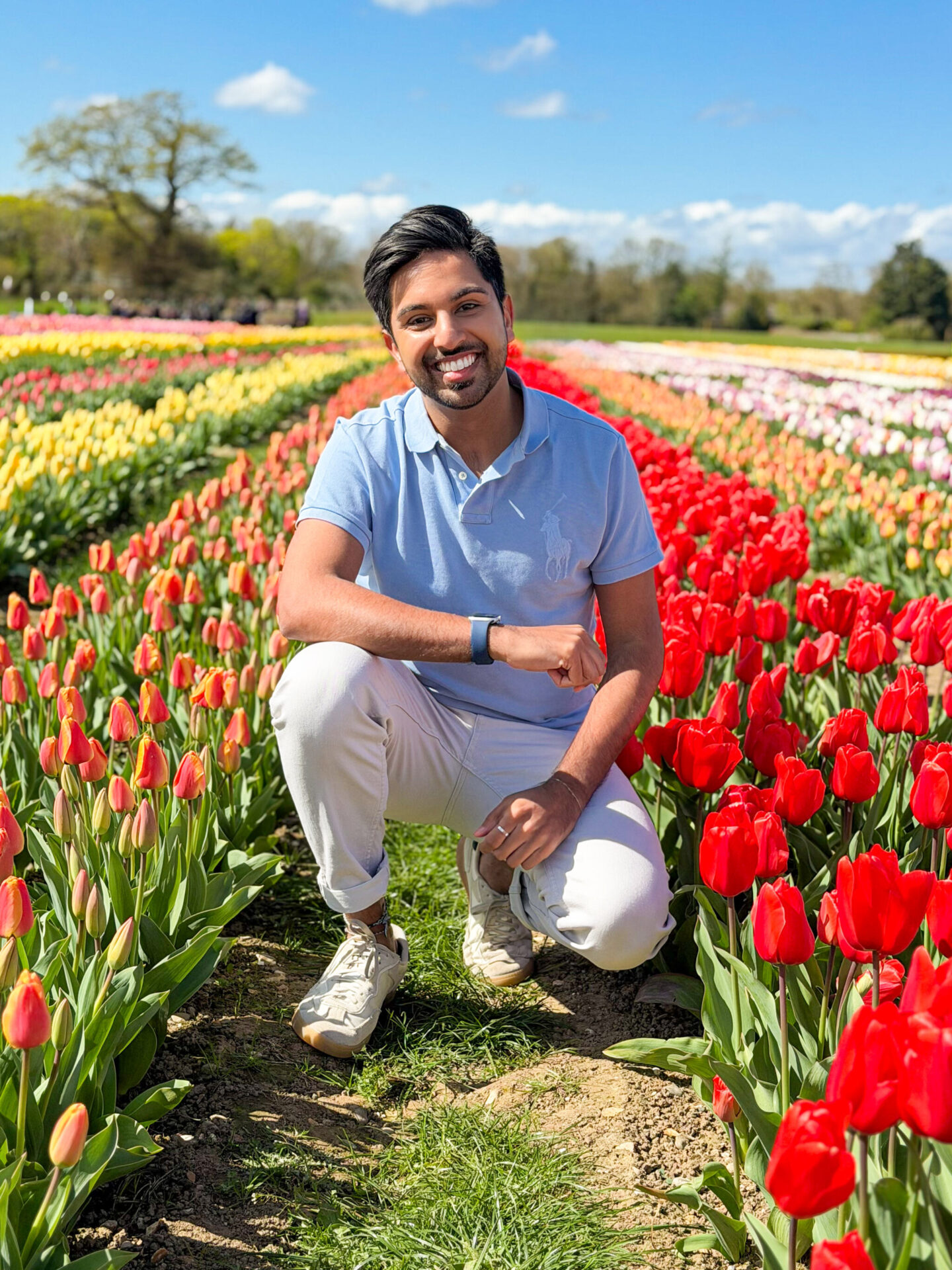 Tulley's Tulip Fields